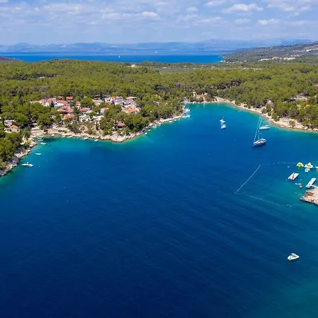 Apartment Dalis Milna (Brac)